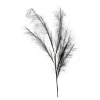 Hot Depot Stielblume Pampas Glam Ca. 110