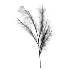 Hot Depot Stielblume Pampas Glam Ca. 110