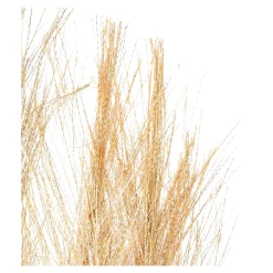 Best Depot Stielblume Pampas Glam Ca. 110