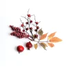 Flash Sale Depot Streuartikel Beeren & Blatter