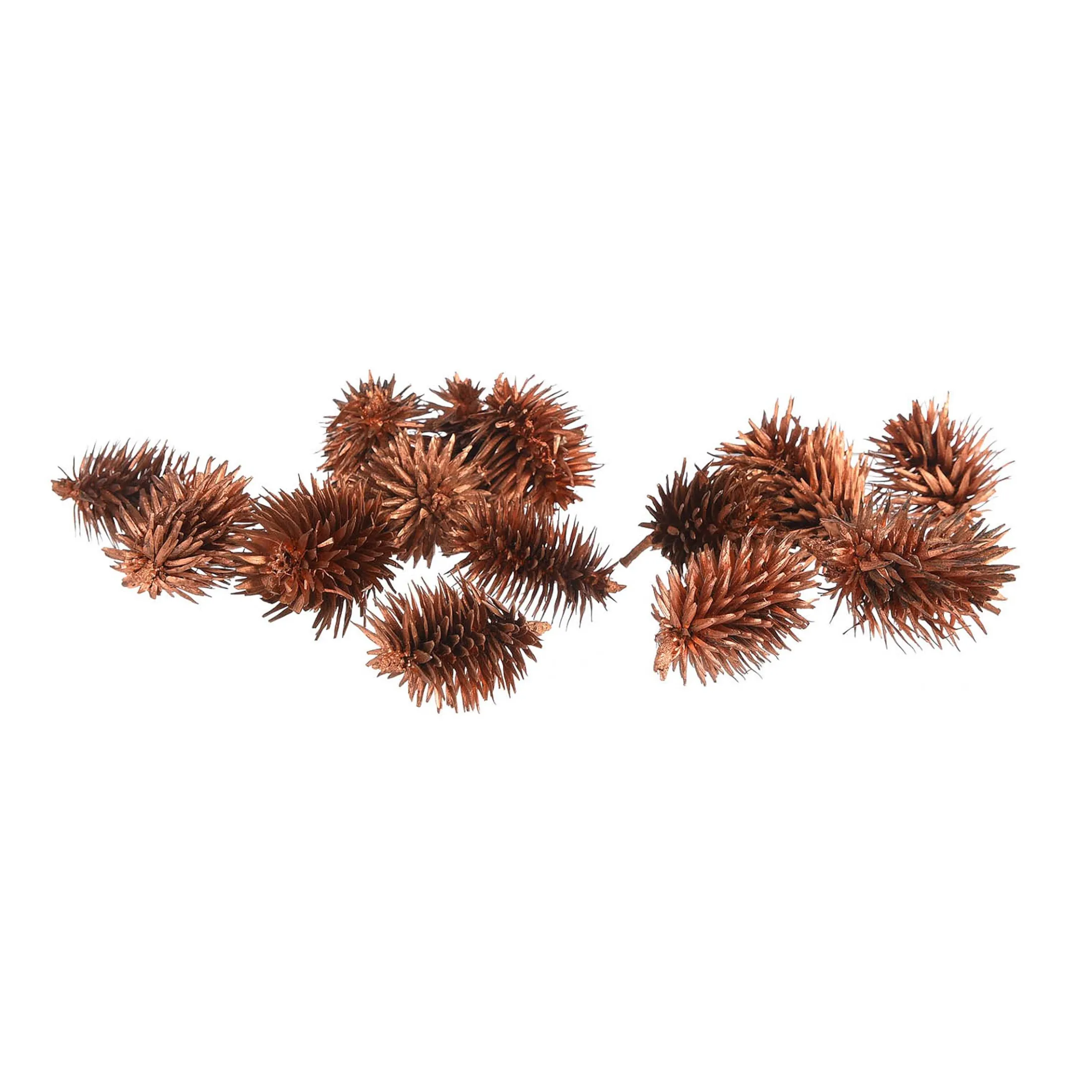 Online Depot Streuartikel Trockenfrucht