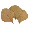 Best Sale Depot Trockenblatter Cobra