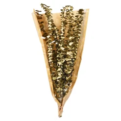 Cheap Depot Trockenblume Eukalyptus Ca.55C