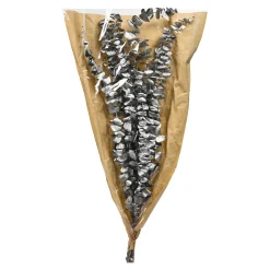 Shop Depot Trockenblume Eukalyptus Ca.55C