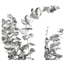 Shop Depot Trockenblume Eukalyptus Ca.55C