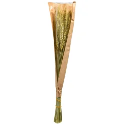 Depot Einzelblumen & Zweige><noscript><img width=