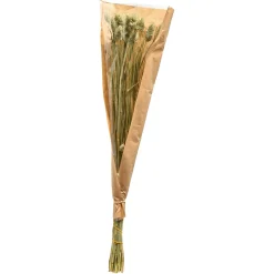 Depot Einzelblumen & Zweige><noscript><img width=