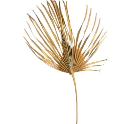 Cheap Depot Trockenblume Palmenblatt Xxl
