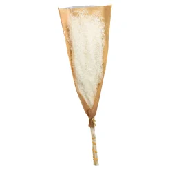 Cheap Depot Trockenblume Schilf