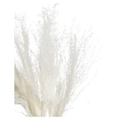 Cheap Depot Trockenblume Schilf