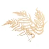 Discount Depot Trockenblumen Farn