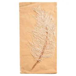 Discount Depot Trockenblumen Farn
