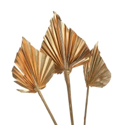 Store Depot Trockenblumen Palmleaf