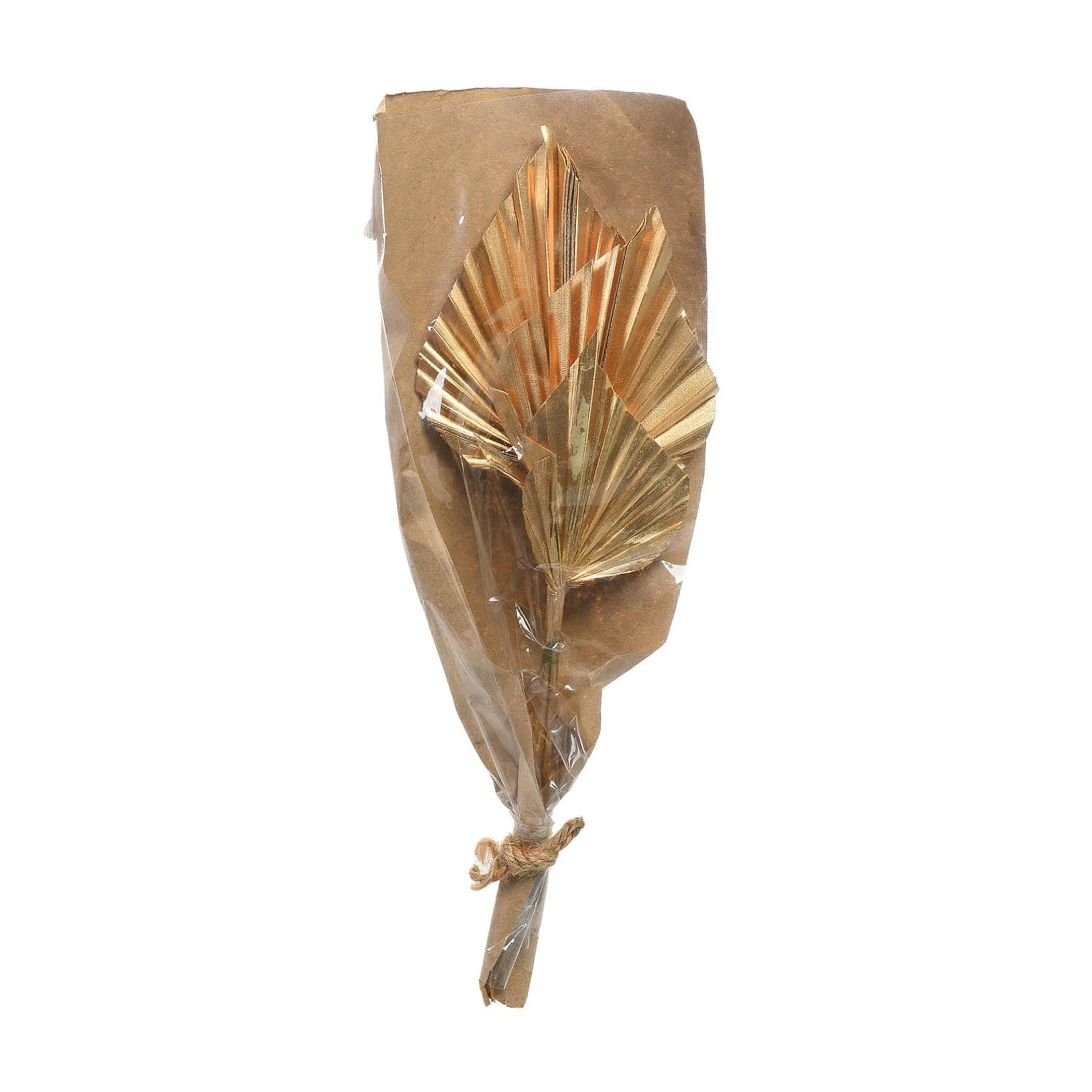 Store Depot Trockenblumen Palmleaf
