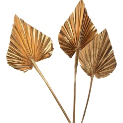 Cheap Depot Trockenblumen Palmleaf