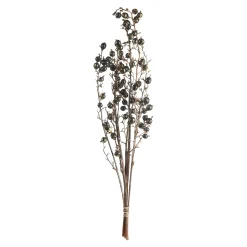 Hot Depot Trockenblumenbund Beeren