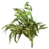 Depot Einzelblumen & Zweige>Trockenblumenbund Eukalyptus