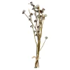Cheap Depot Trockenblumenbund Knospenzweige
