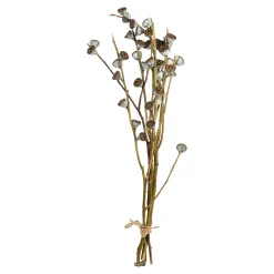 Cheap Depot Trockenblumenbund Knospenzweige