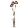 Cheap Depot Trockenblumenbund Mohnkapseln