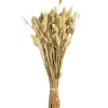 Flash Sale Depot Trockenblumenbund Samtgras