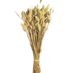 Flash Sale Depot Trockenblumenbund Samtgras