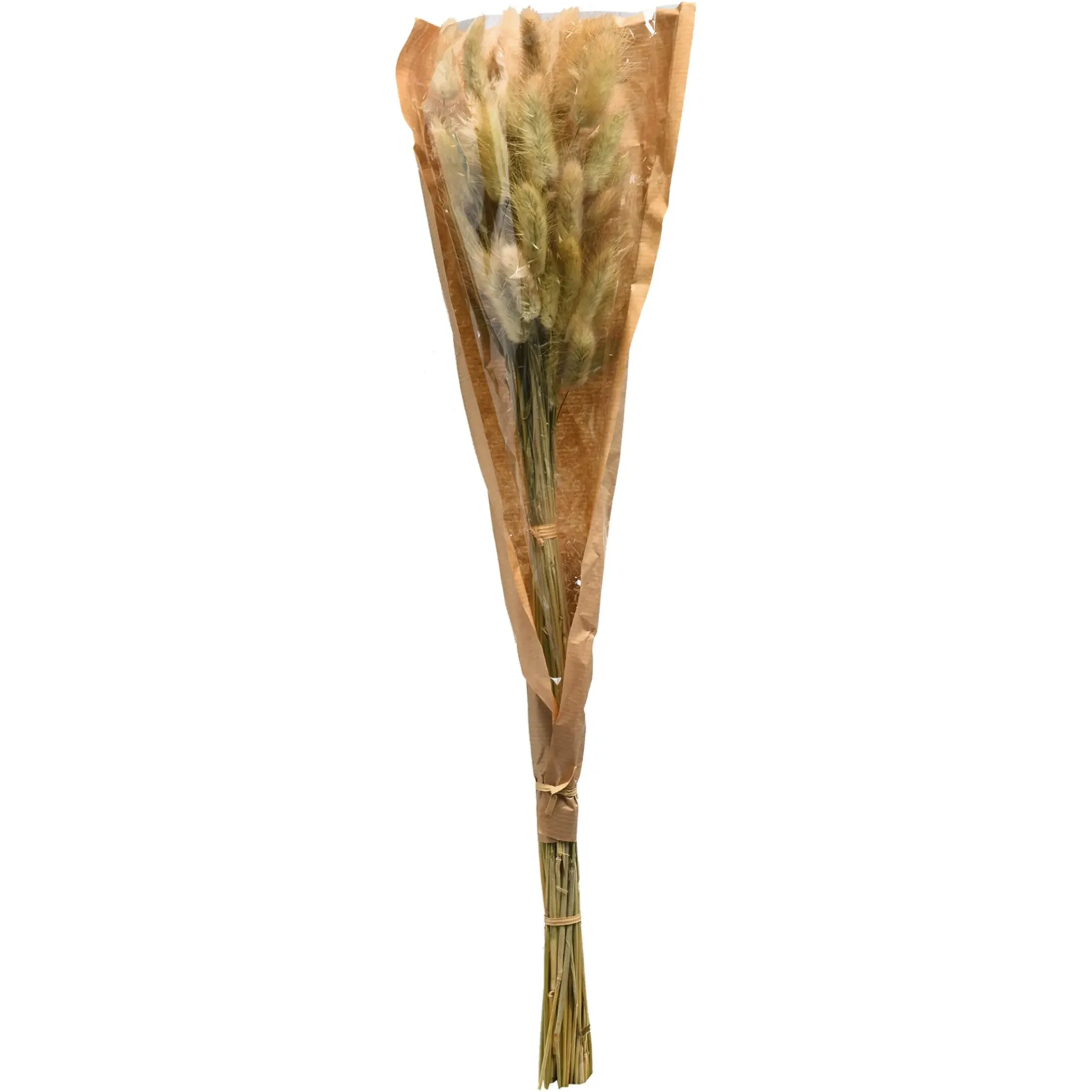 Depot Einzelblumen & Zweige>Trockenblumenbund Samtgras