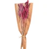 Shop Depot Trockenblumenbund Samtgras