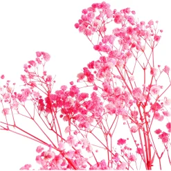 Depot Einzelblumen & Zweige><noscript><img width=