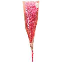 Depot Einzelblumen & Zweige><noscript><img width=