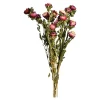 Cheap Depot Trockenblumenbund Strohblumen