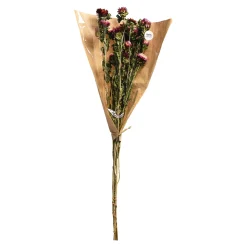 Cheap Depot Trockenblumenbund Strohblumen