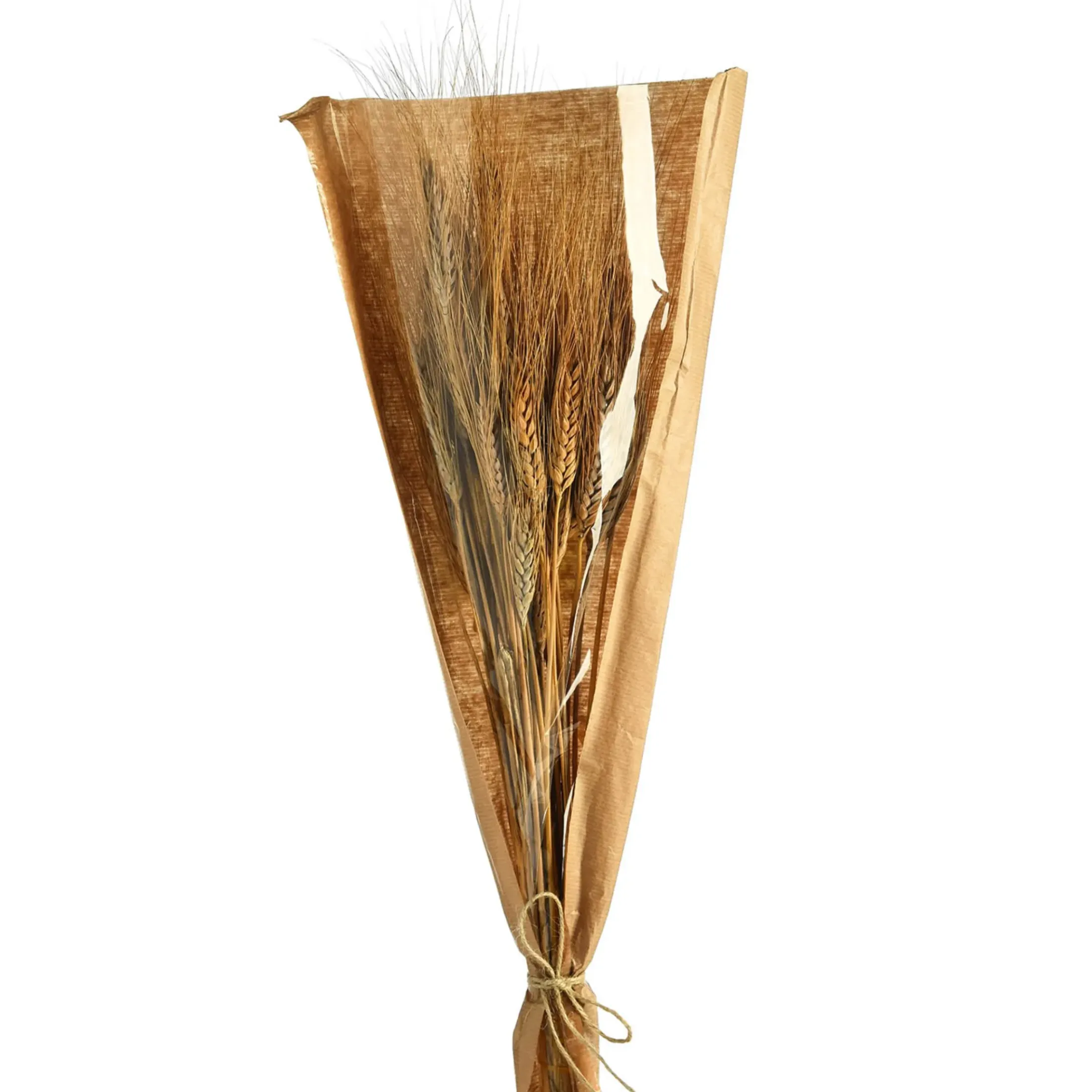 Depot Einzelblumen & Zweige>Trockenblumen-Bundel Ahren