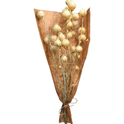 Depot Einzelblumen & Zweige><noscript><img width=