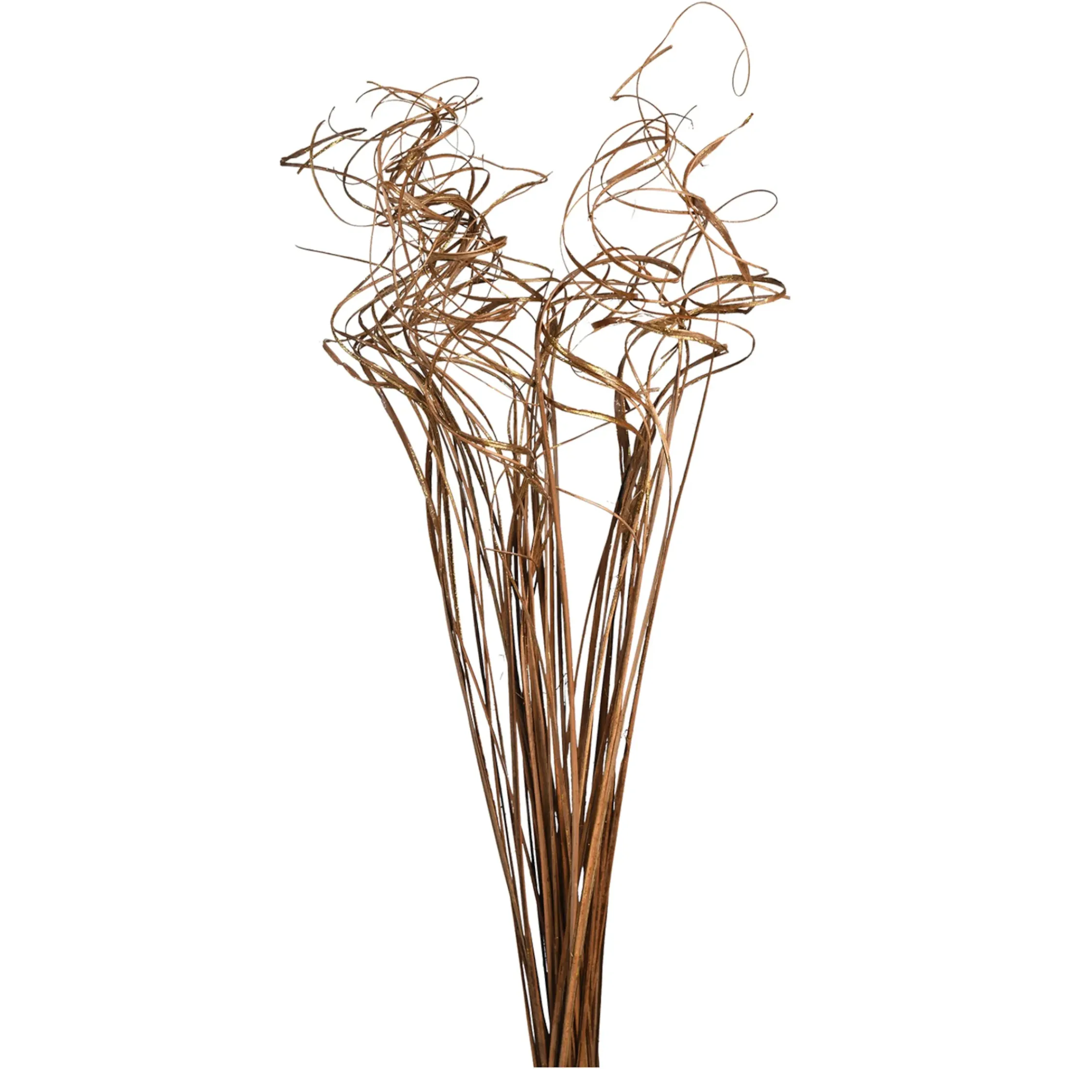 Depot Einzelblumen & Zweige>Trockenblumen-Bundel Curly