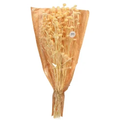 Depot Einzelblumen & Zweige><noscript><img width=