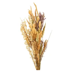 Online Depot Trockenblumenstraus Dried Flowers