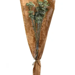 Depot Einzelblumen & Zweige><noscript><img width=