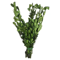 Cheap Depot Trockenbundel Buchs