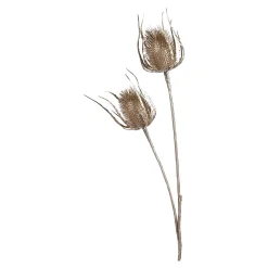Outlet Depot Zweig Distel Ca. 81Cm