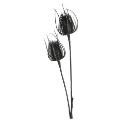 Discount Depot Zweig Distel Ca. 81Cm