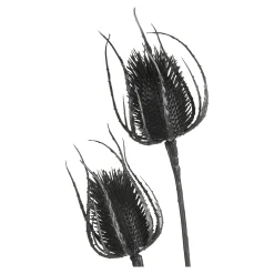 Discount Depot Zweig Distel Ca. 81Cm