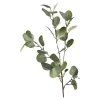 Fashion Depot Zweig Eukalyptus Ca.73Cm