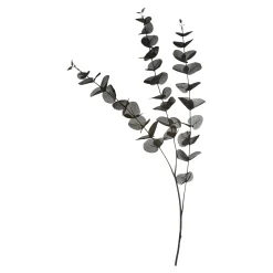 Discount Depot Zweig Eukalyptus Ca.100Cm