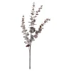 Store Depot Zweig Eukalyptus Modern Ca.74Cm, Creme