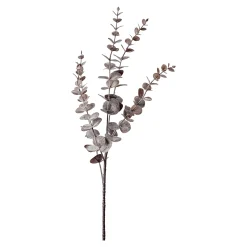Store Depot Zweig Eukalyptus Modern Ca.74Cm, Creme