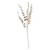Best Sale Depot Zweig Eukalyptus Modern Ca.74Cm, Creme