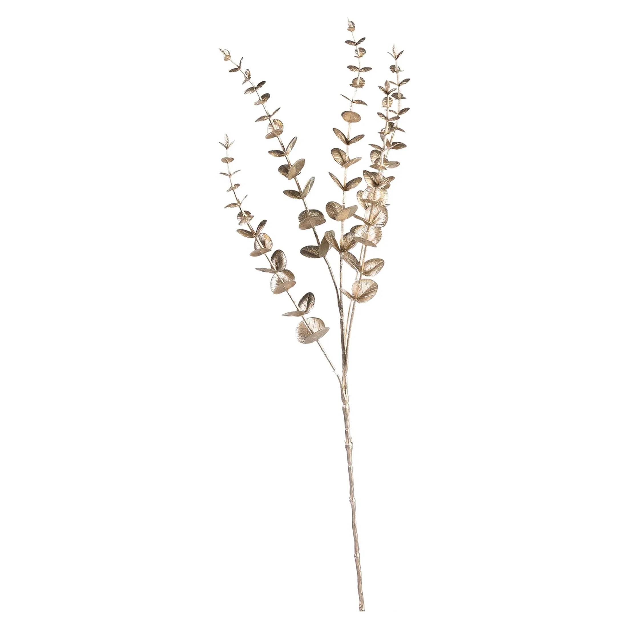 Best Sale Depot Zweig Eukalyptus Modern Ca.74Cm, Creme