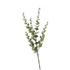 Depot Einzelblumen & Zweige>Zweig Eukalyptus Modern Ca.74Cm, Creme